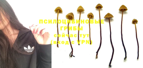Альфа ПВП Костерёво