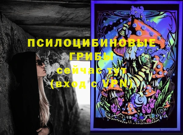 Альфа ПВП Костерёво