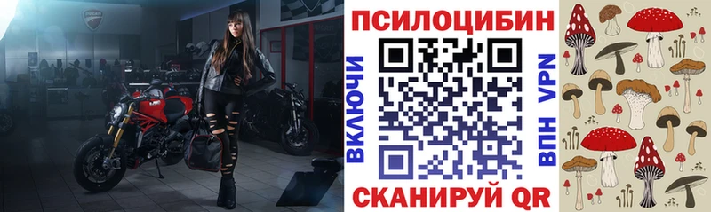 Псилоцибиновые грибы Cubensis  Купить где  Рузаевка 