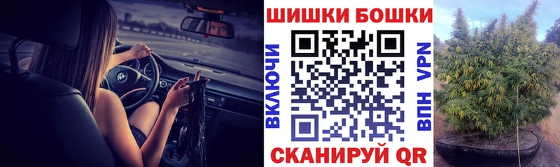 Купить где  Рузаевка  Конопля сатива 